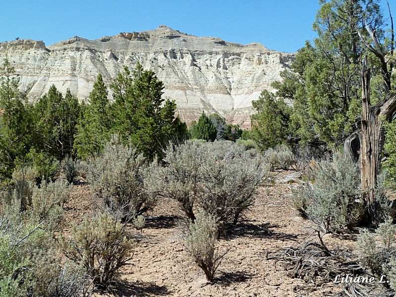 Angel’s Palace trail