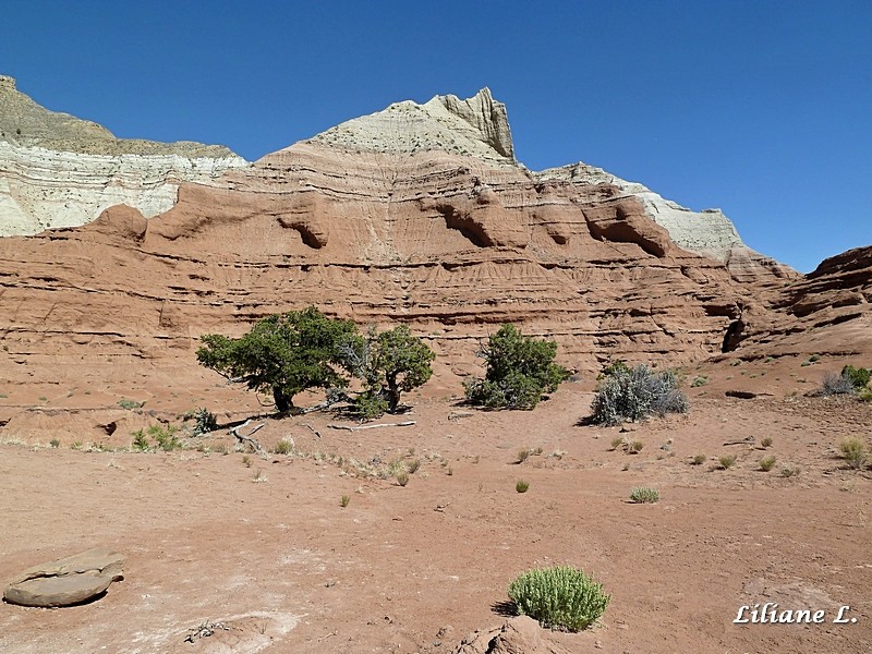 Angel’s Palace trail