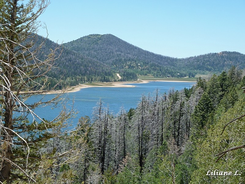 Navajo Lake