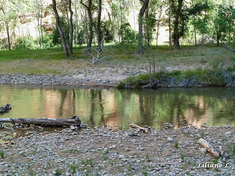 Riverside Walk