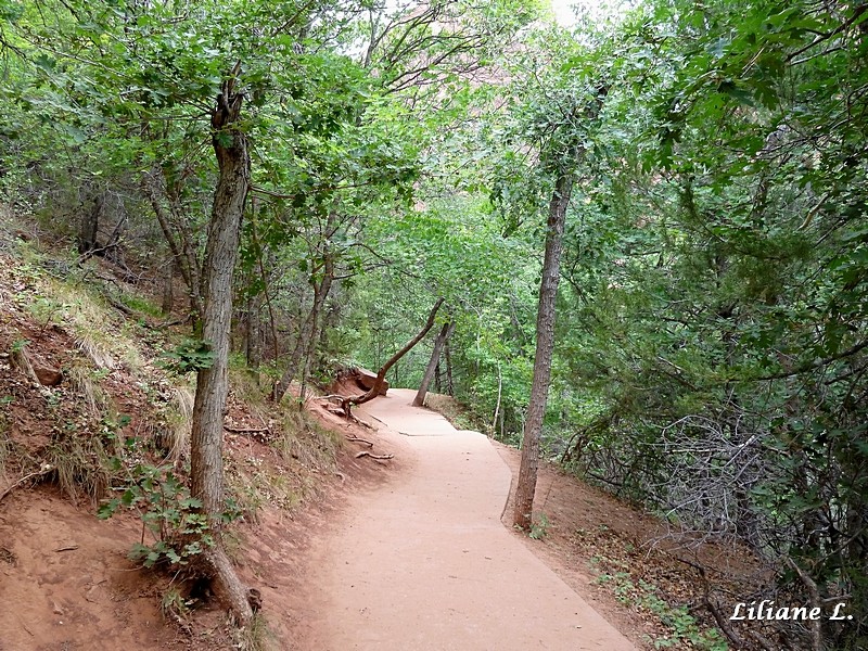 Emerald Pool trail.