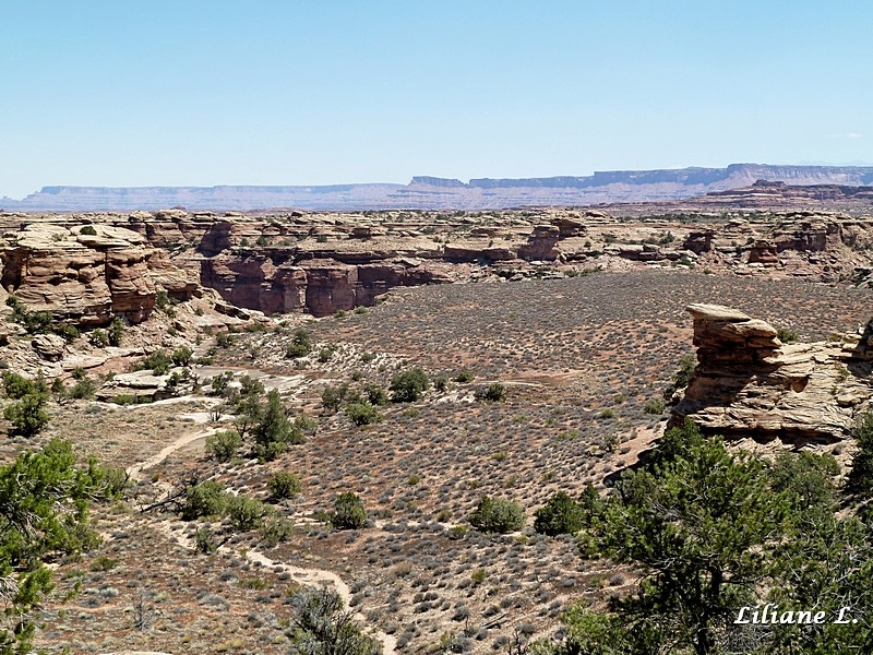 Canyonland - The Needles