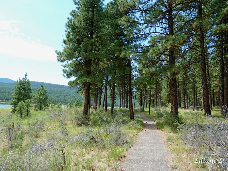 Shoreline trail