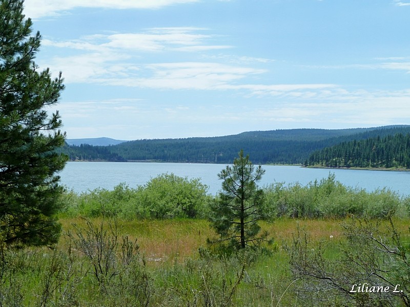 Shoreline trail