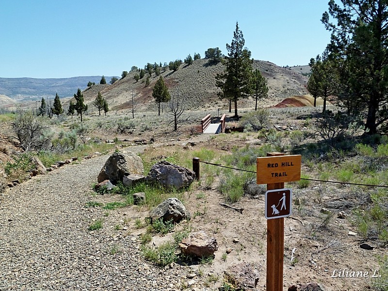 Red Hill trail