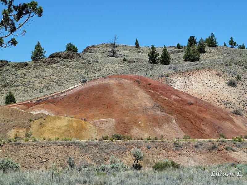 Red Hill trail