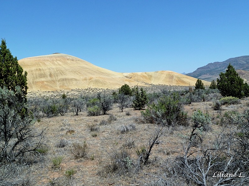 Leaf Fossil trail