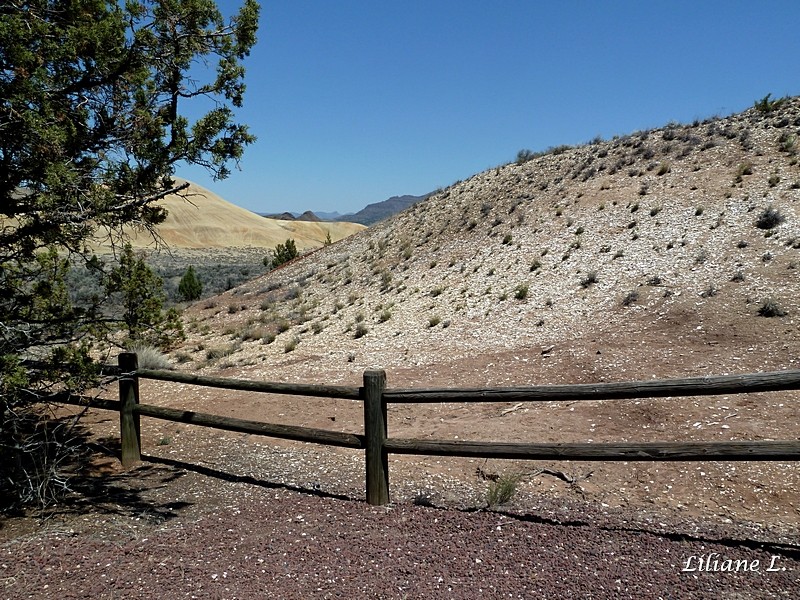 Leaf Fossil trail