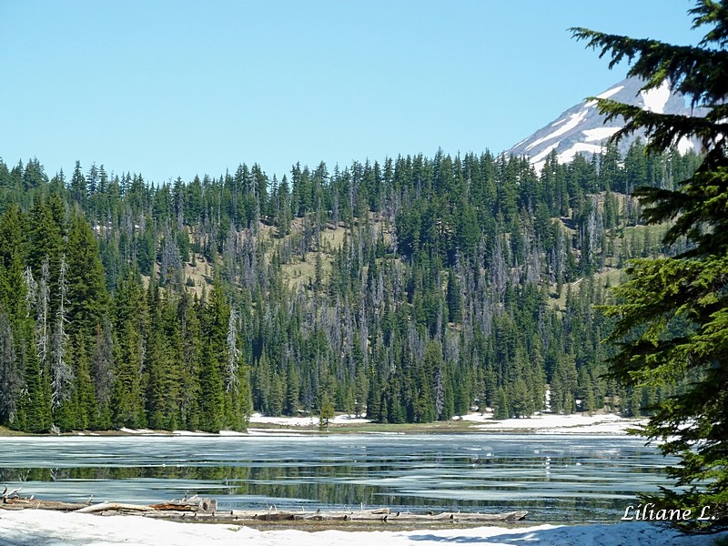 Todd Lake