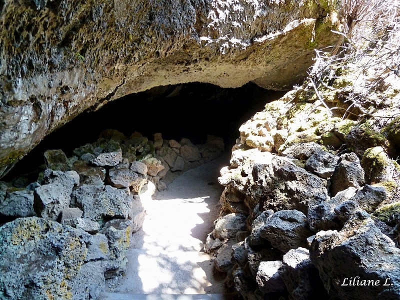 Entrée de Mushpot Cave