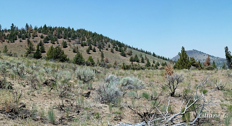 Lava Beds N.M.