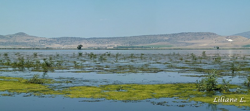 Lower Klamath Refuge