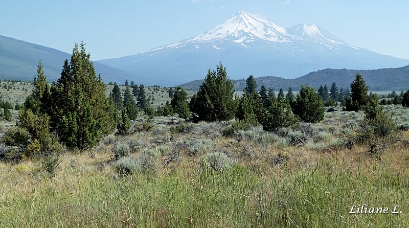 Mont Shasta