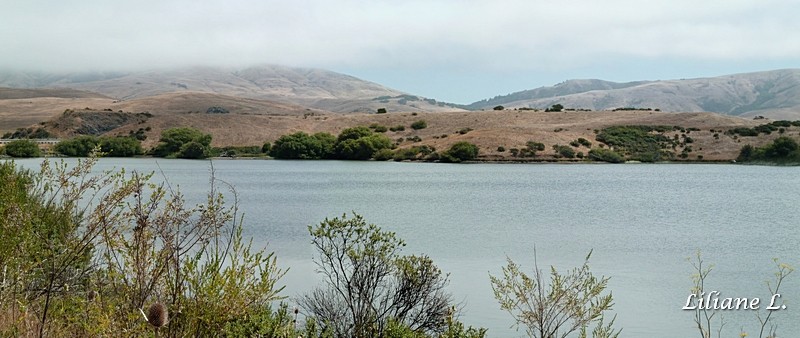 Nicasio Réservoir