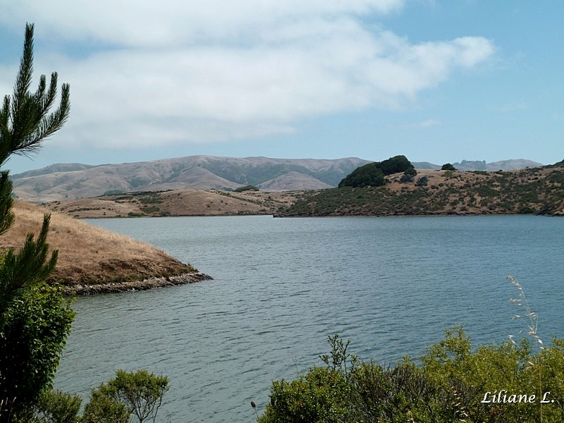 Nicasio Réservoir