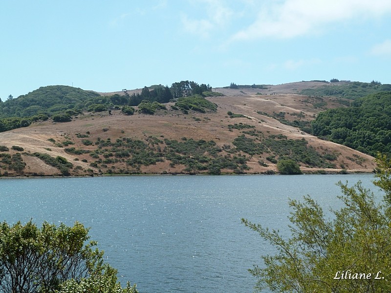 Nicasio Réservoir