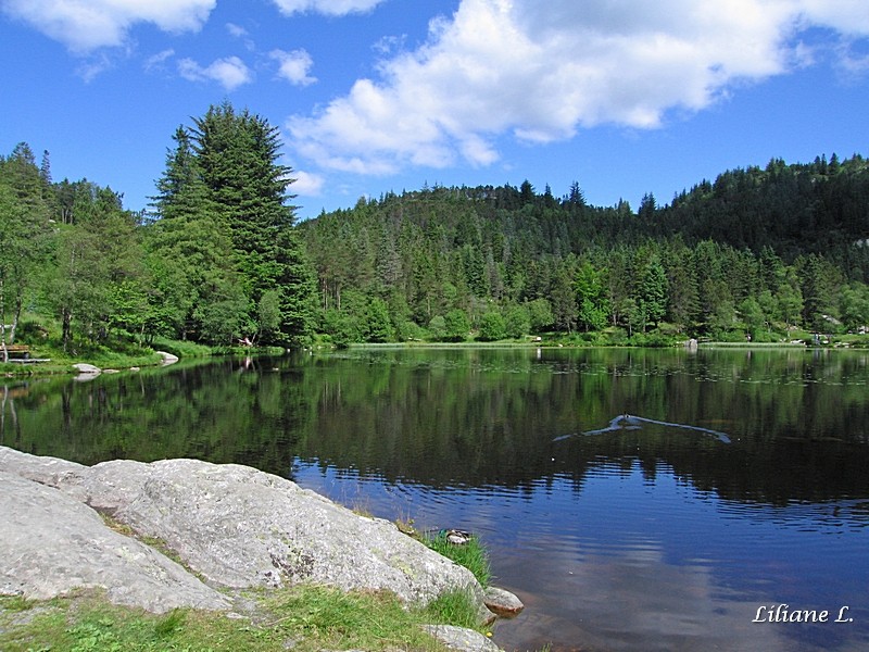 Skomakerdiket lake