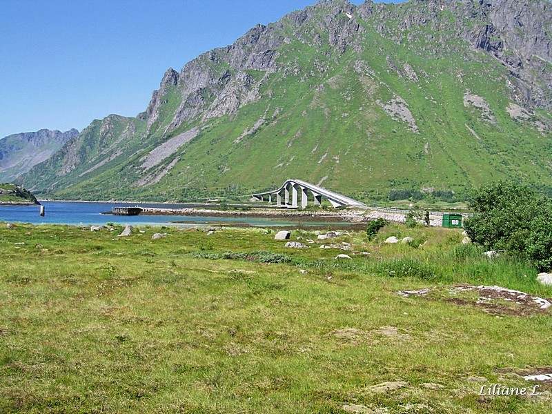 Lyngvaer