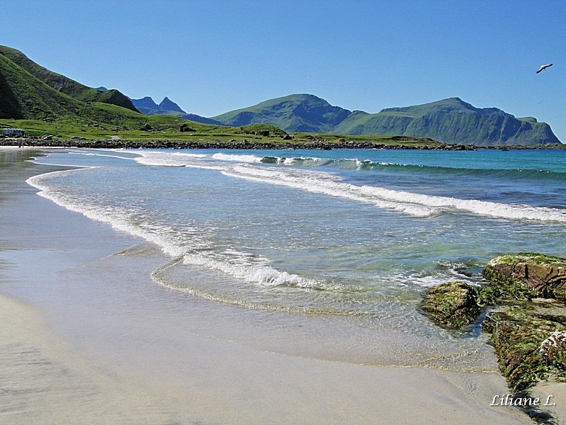 Flakstad – Skagsanden beach