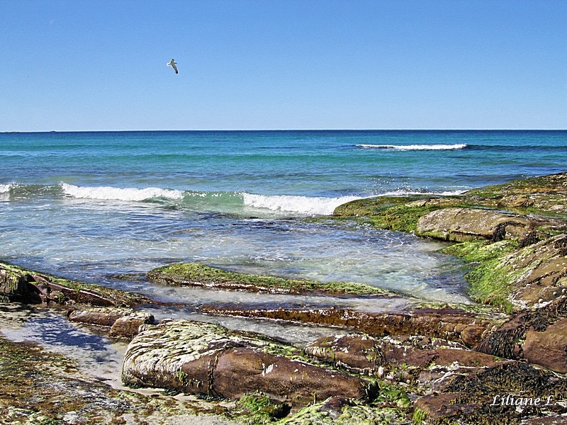 Flakstad – Skagsanden beach