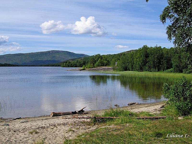 Sagfjorden