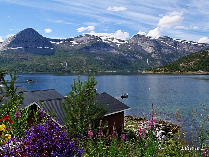 Morsvikbotn