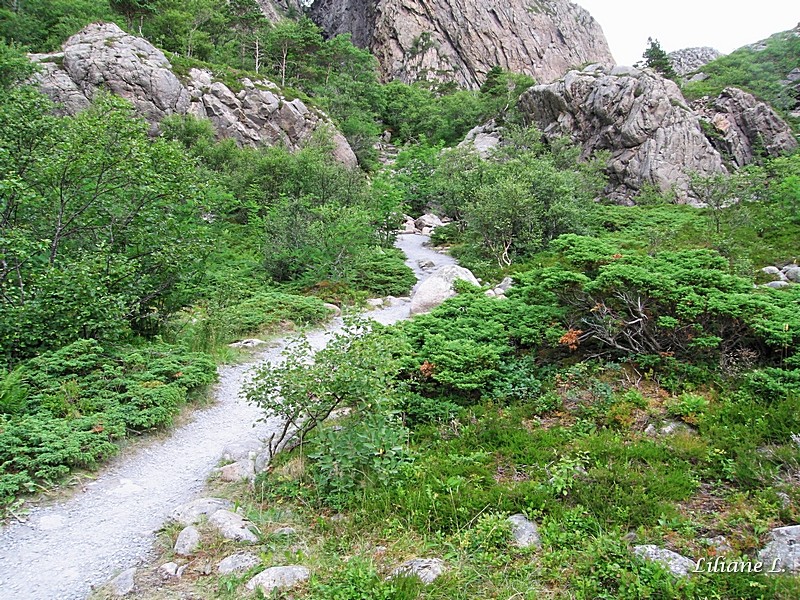 environs de Torghatten Camping. Peu après Torgatten Nous reprenons donc la route pour Bronnoysund je m’arrête avant le grand pont et continue à pied afin de prendre des photos. Il est vraiment grand très haut. Pour le moment il ne pleut pas nous prenons la route côtière RV 17, belle route. Malheureusement en cours de route il se met à pleuvoir, pas beaucoup de visibilité. On prend le ferry à Vennesund pour Holm, nous n’avon