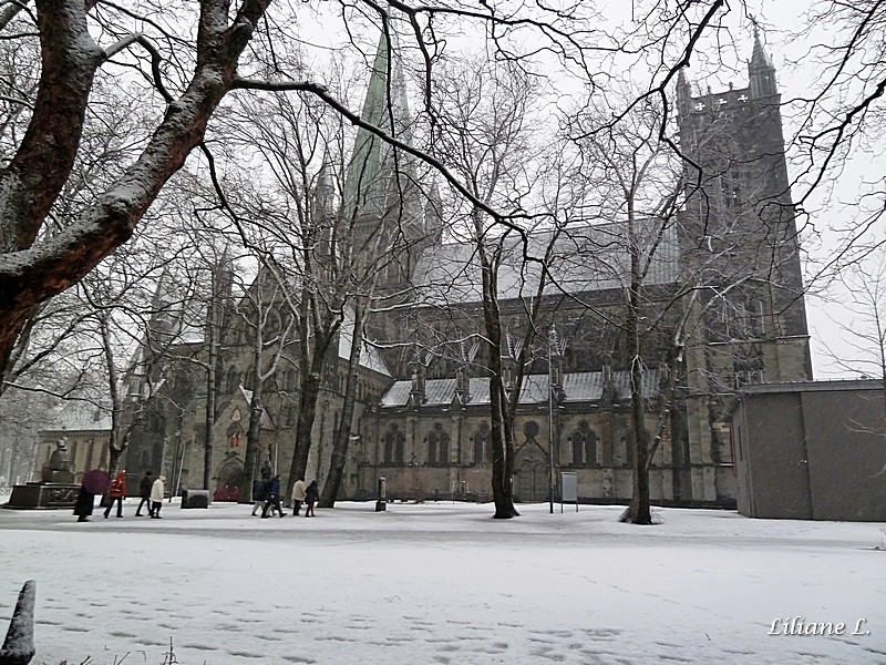  cathédrale Nidaros