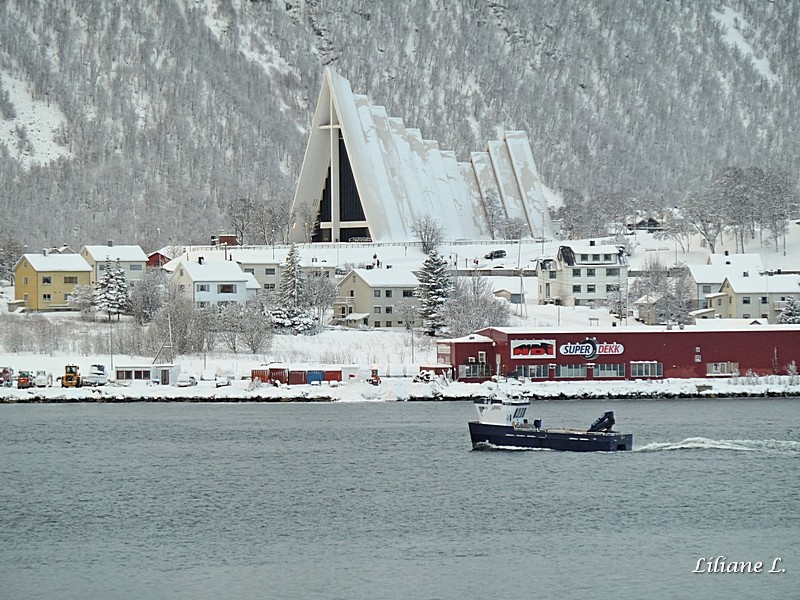 Cathédrale Arctique