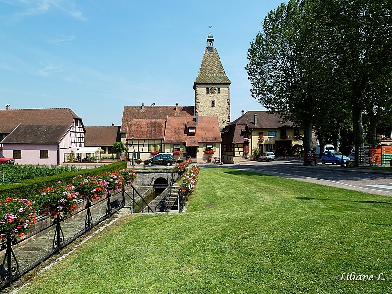 Bergheim