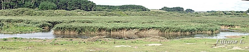 CRW_6672_DxO.pano