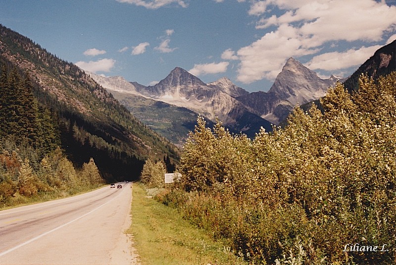 Glacier NP- Roger Pass