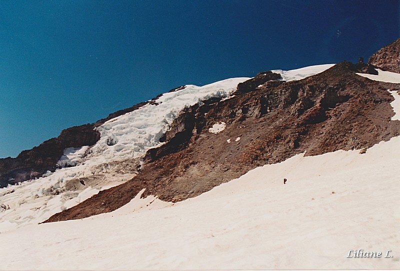 Mt Rainier Nisqually Glacier