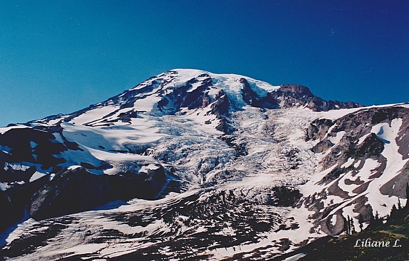 Mt Rainier _0001