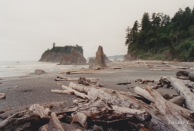 Olympic N.P. - Ruby beach