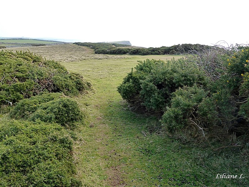 P1060914