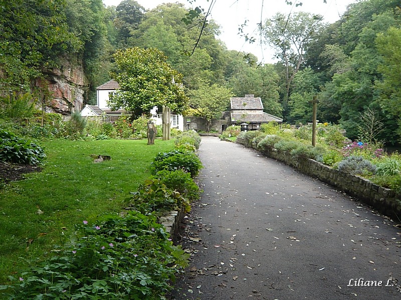P1070987