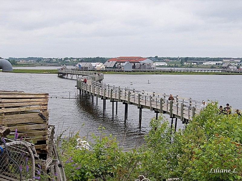 Le pays de La Sagouine – l’Ile aux Puces