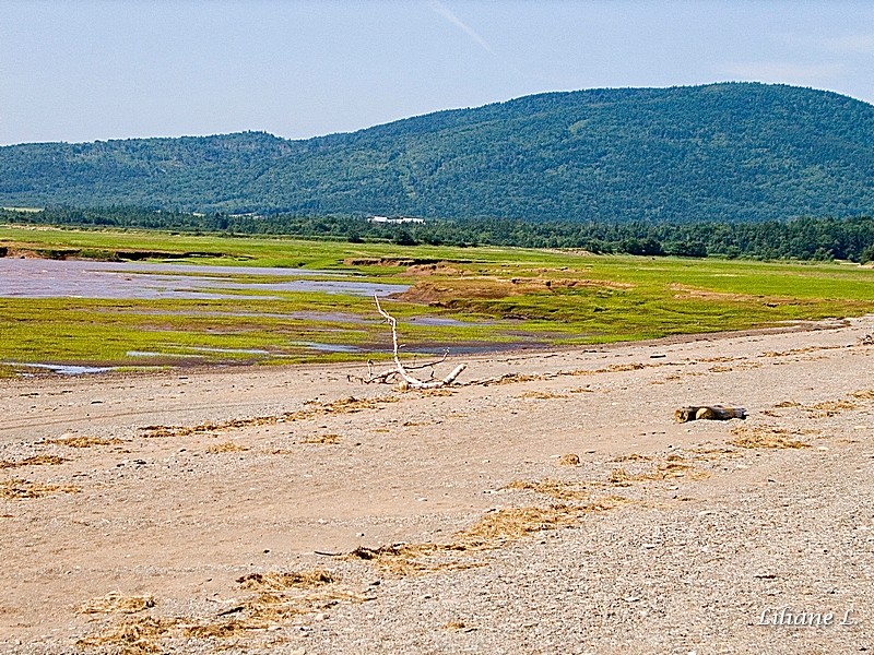 Vue sur Estrans Daniel Flats