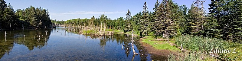  Cabot Trail – Middle River à Hunter