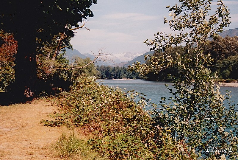 Sur la route de North Cascade