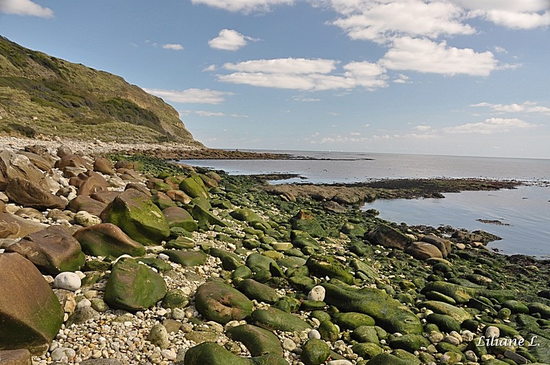 osmington_mills_2011_02