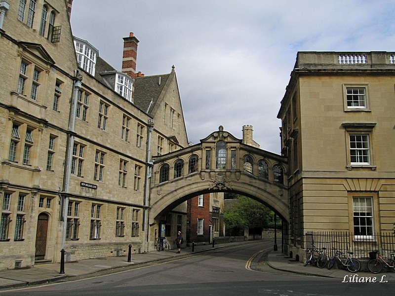New Collège Lane