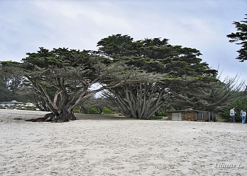  River State Beach