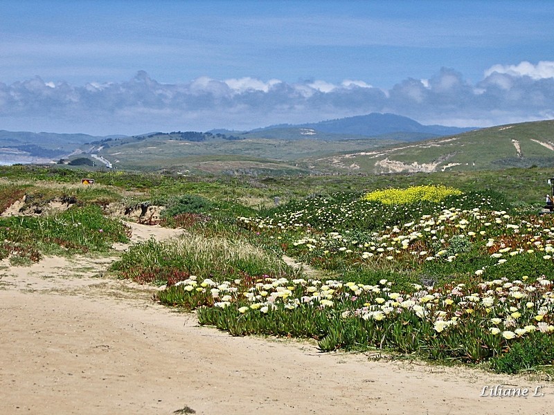 Half Moon Bay