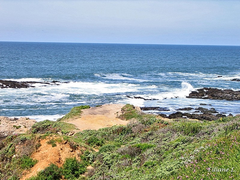 Pescadero Beach