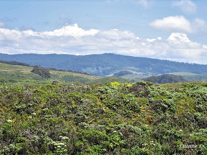 Pescadero Beach - Côté montagne