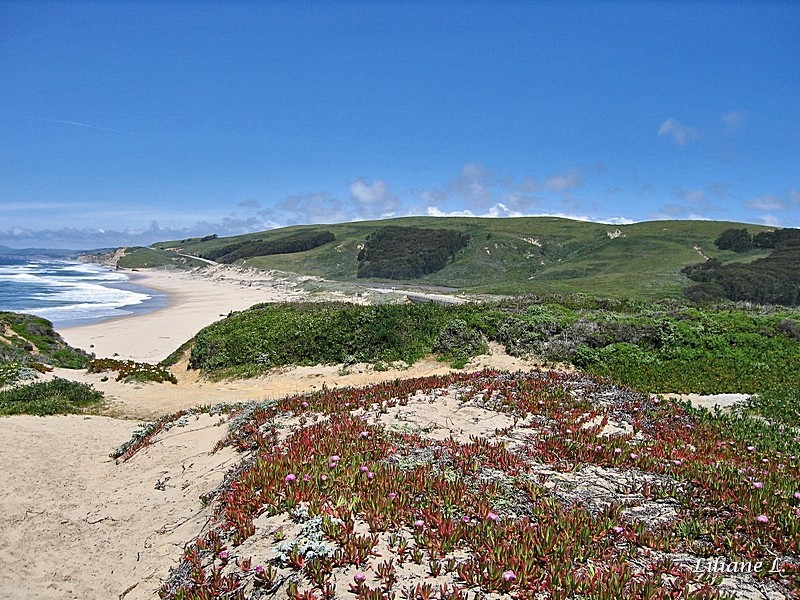 Pescadero Beach