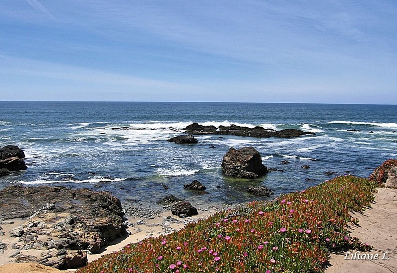 Pescadero Beach