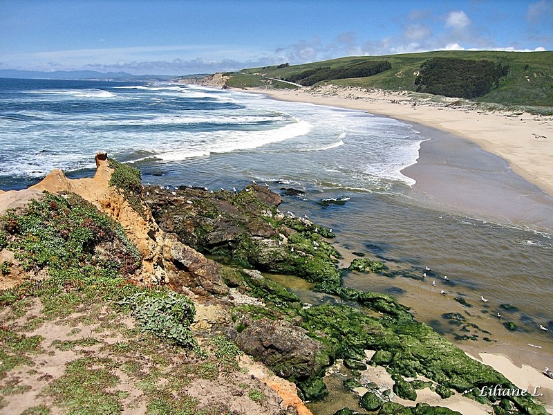 Pescadero Beach